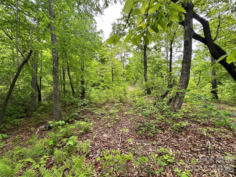 99999 Bird Creek Estates Road Black Mountain, NC 28711