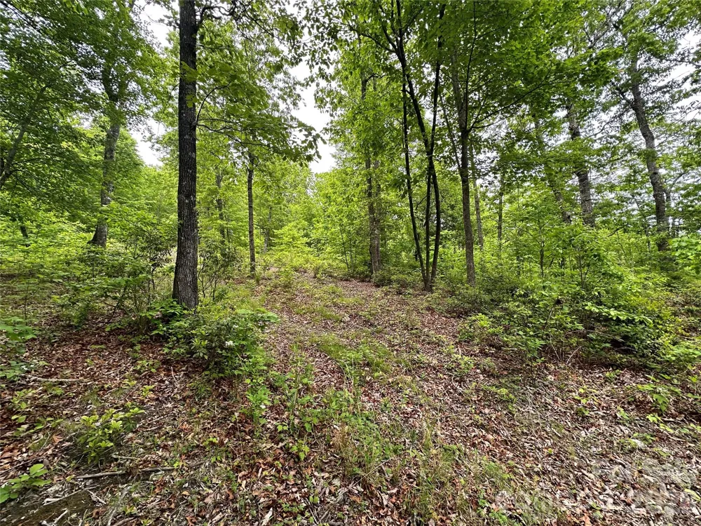 99999 Bird Creek Estates Road Black Mountain, NC 28711