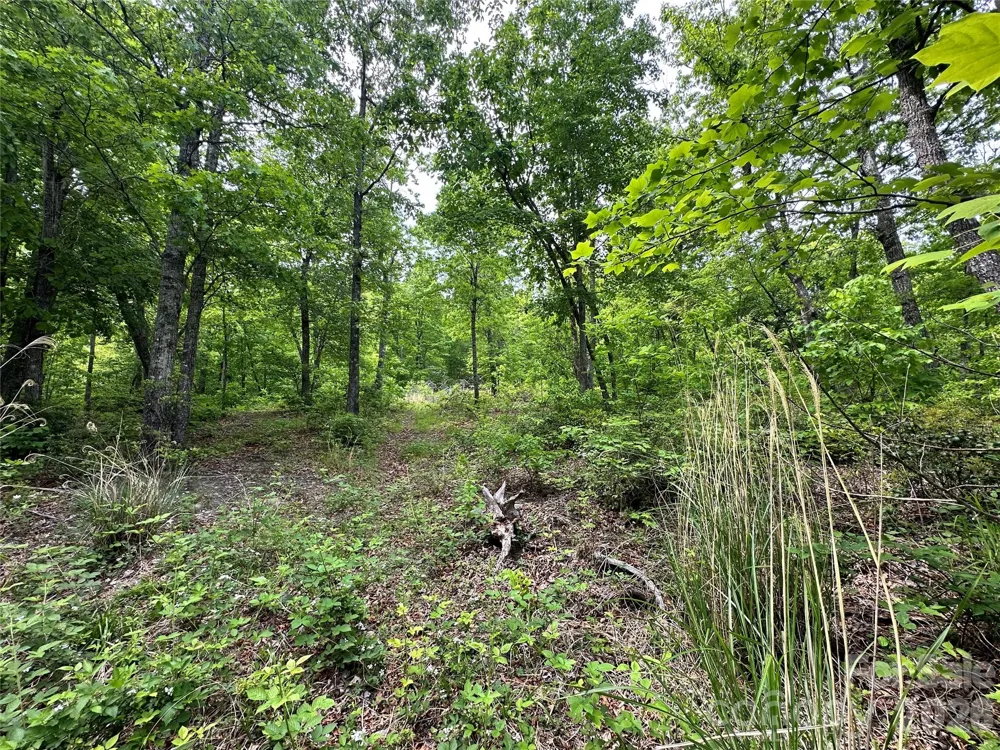 99999 Bird Creek Estates Road Black Mountain, NC 28711