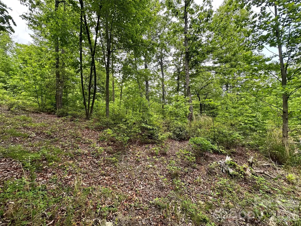 99999 Bird Creek Estates Road Black Mountain, NC 28711