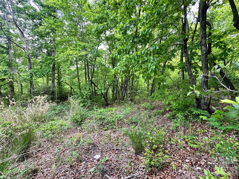 99999 Bird Creek Estates Road Black Mountain, NC 28711