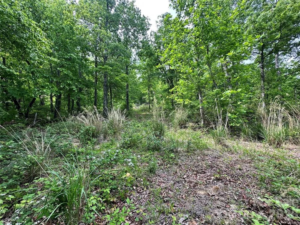 99999 Bird Creek Estates Road Black Mountain, NC 28711