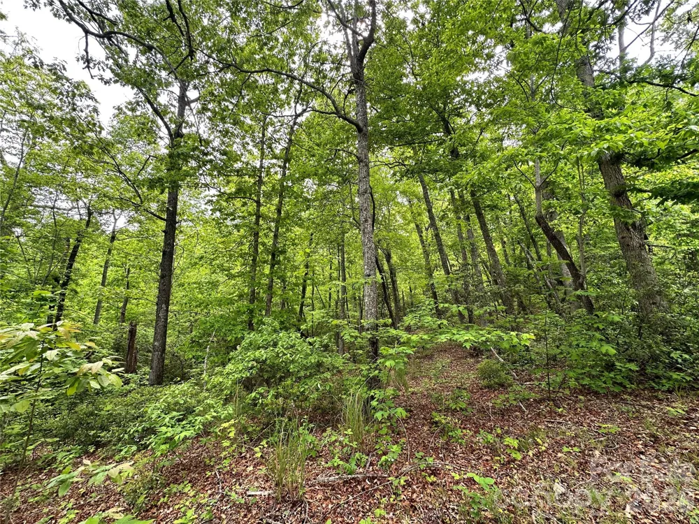 99999 Bird Creek Estates Road Black Mountain, NC 28711