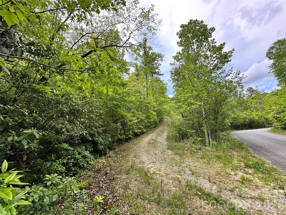 99999 Bird Creek Estates Road Black Mountain, NC 28711