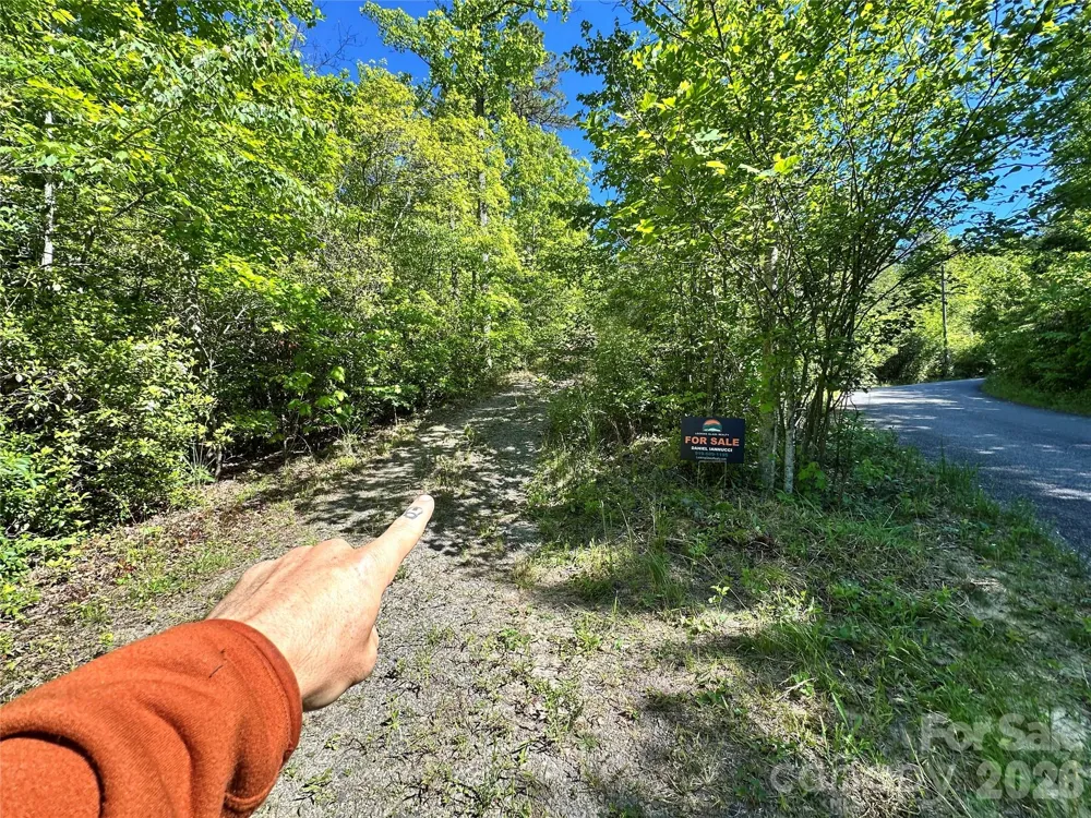 99999 Bird Creek Estates Road Black Mountain, NC 28711