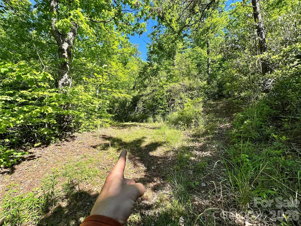 99999 Bird Creek Estates Road Black Mountain, NC 28711
