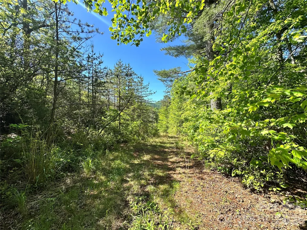 99999 Bird Creek Estates Road Black Mountain, NC 28711