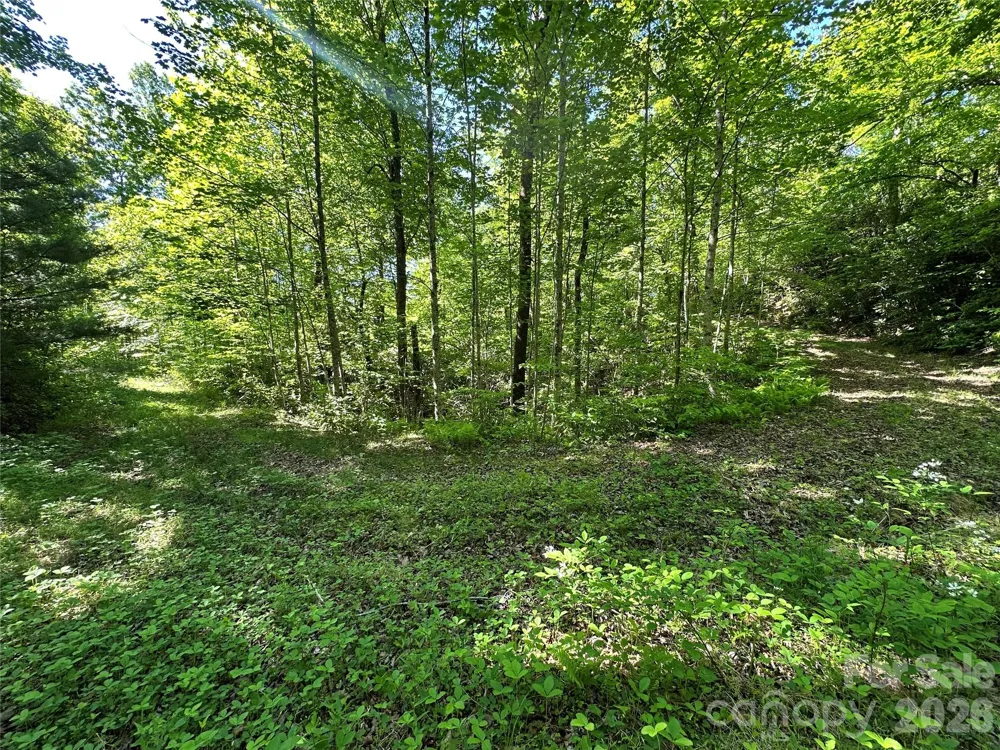 99999 Bird Creek Estates Road Black Mountain, NC 28711