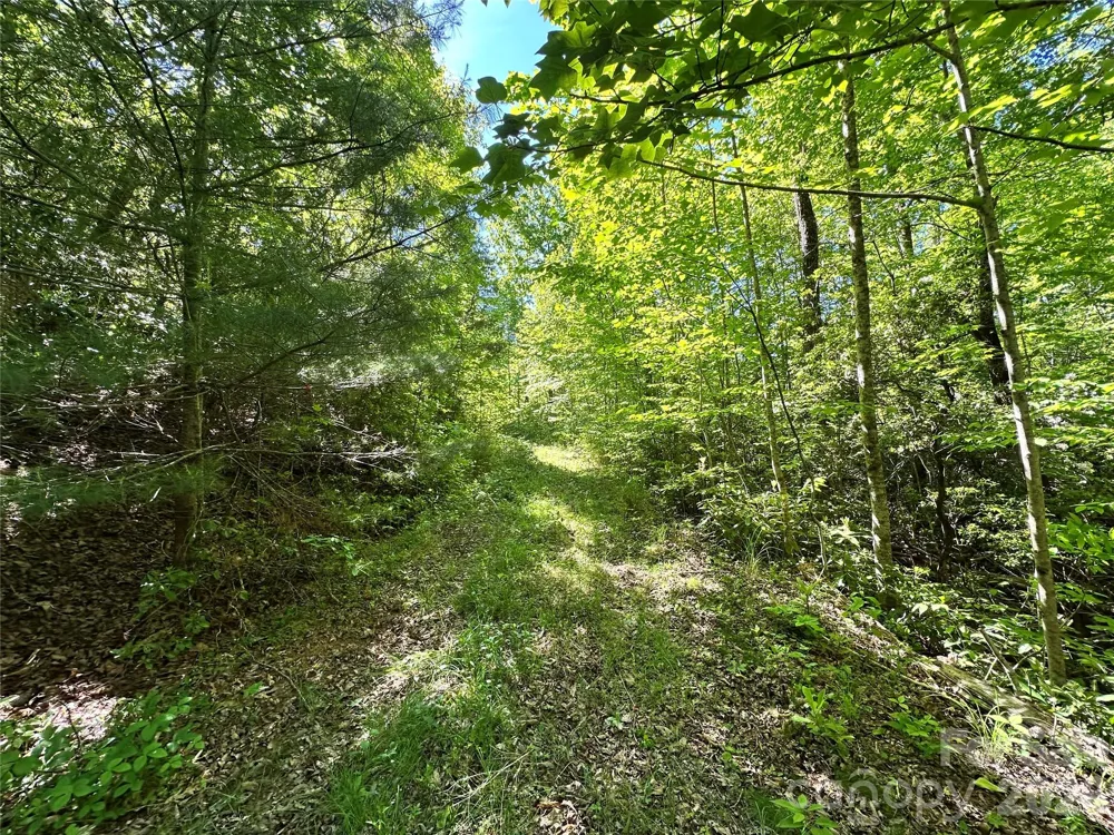 99999 Bird Creek Estates Road Black Mountain, NC 28711