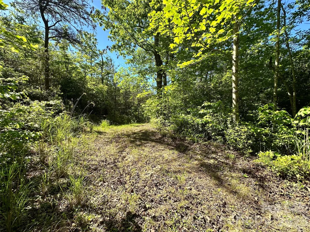 99999 Bird Creek Estates Road Black Mountain, NC 28711