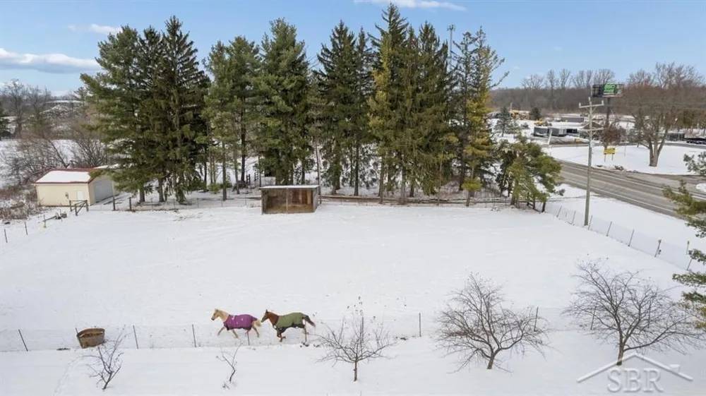 6431 Whitmore Lake Road Northfield Township, MI 48189