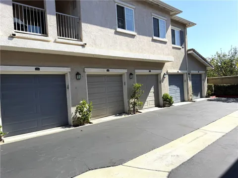 26408 Arboretum #2706
