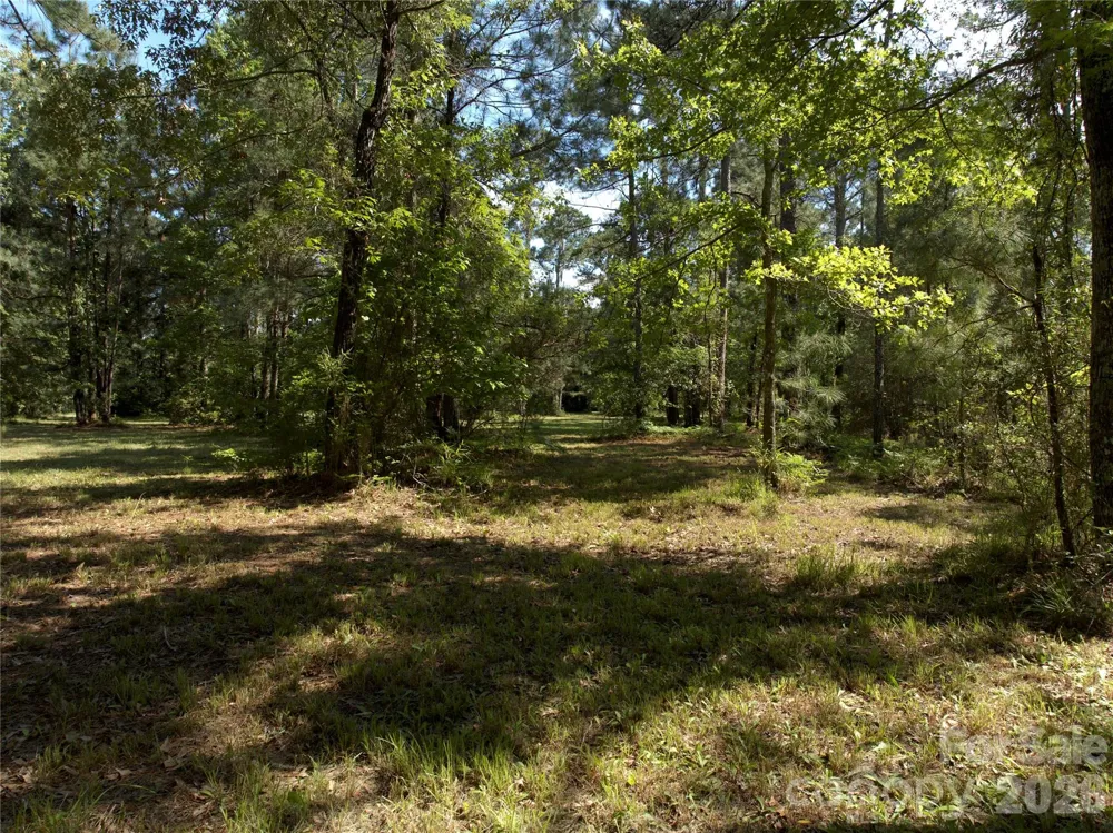 0 Bailey Pointe Drive #31 Belhaven, NC 27810