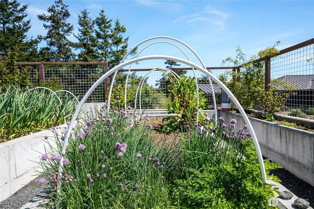 115 Clipper Way Friday Harbor, WA 98250