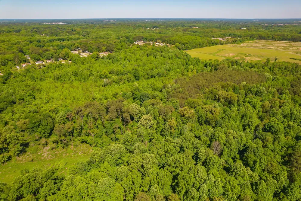 0 North Royal Street Jackson, TN 38305