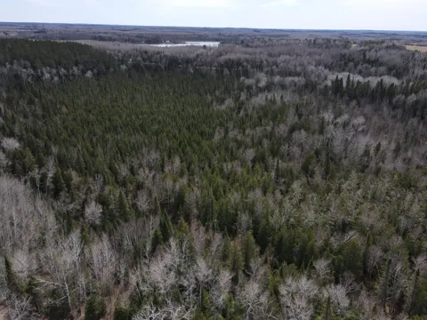TBD CO Rd 40