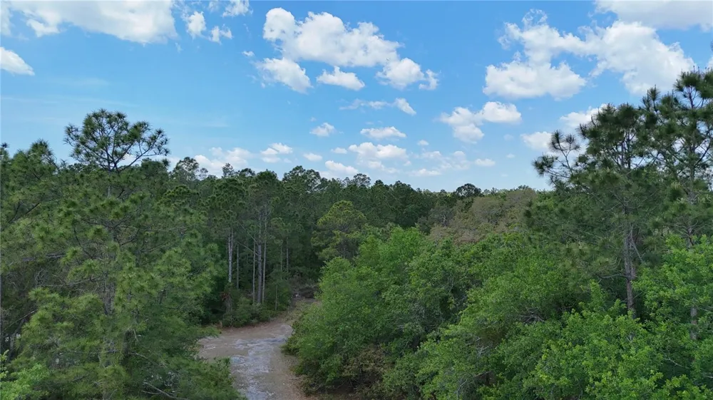 1310 PINE ISLAND DRIVE St Cloud, FL 34771