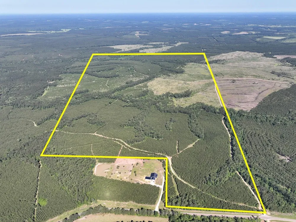 1 Fm 355 Eliot Groveton, TX 75845