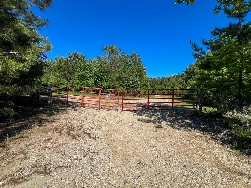 1 Fm 355 Eliot Groveton, TX 75845