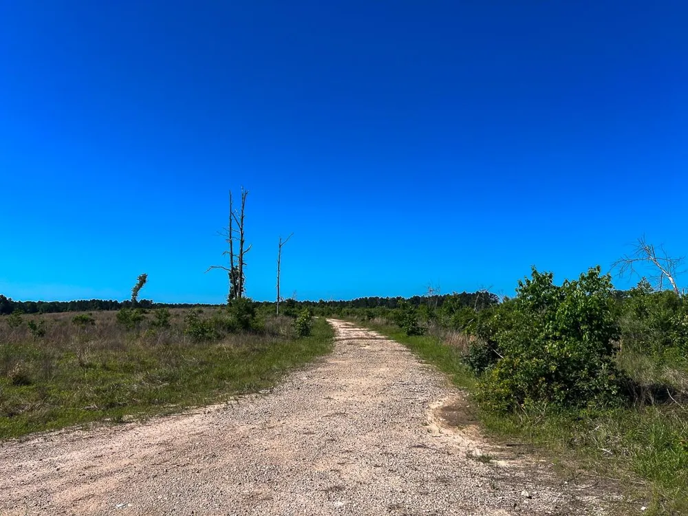 1 Fm 355 Eliot Groveton, TX 75845