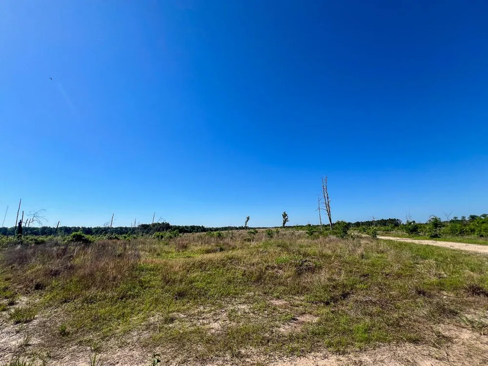 1 Fm 355 Eliot Groveton, TX 75845
