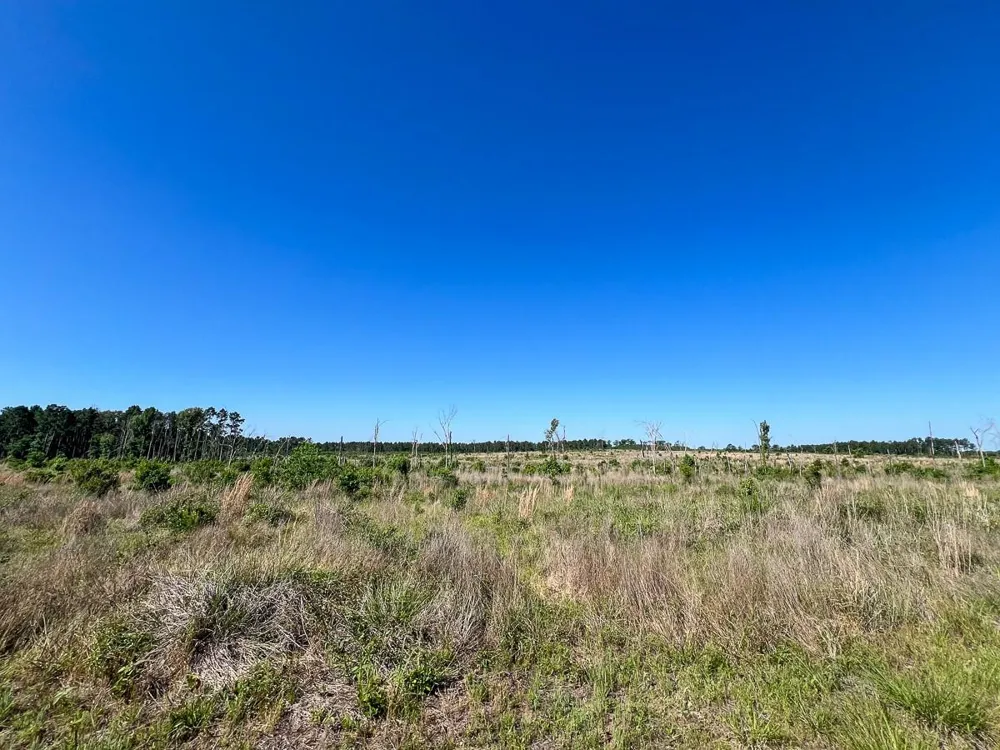 1 Fm 355 Eliot Groveton, TX 75845