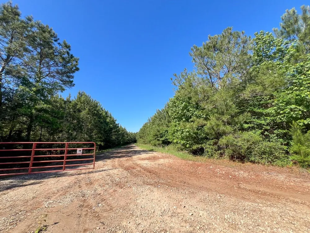 1 Fm 355 Eliot Groveton, TX 75845