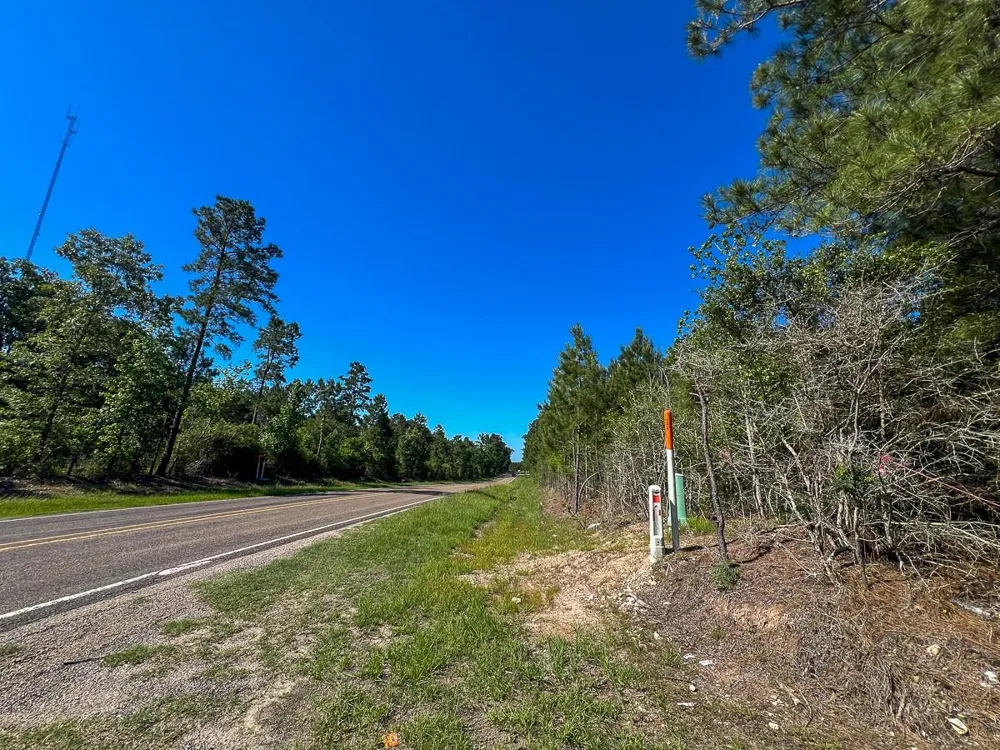 1 Fm 355 Eliot Groveton, TX 75845