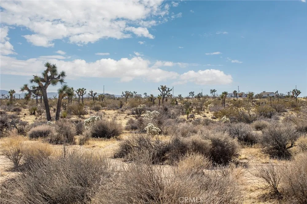59525 La Crescenta Drive Yucca Valley, CA 92284