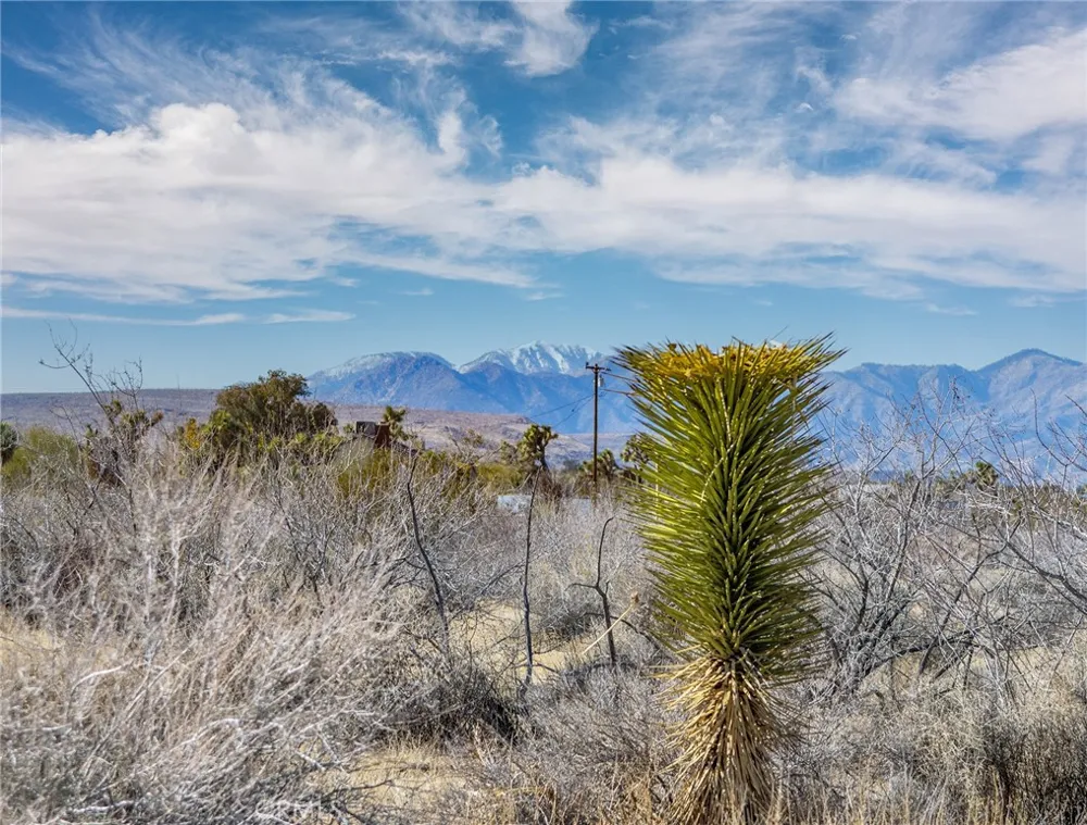 59525 La Crescenta Drive Yucca Valley, CA 92284