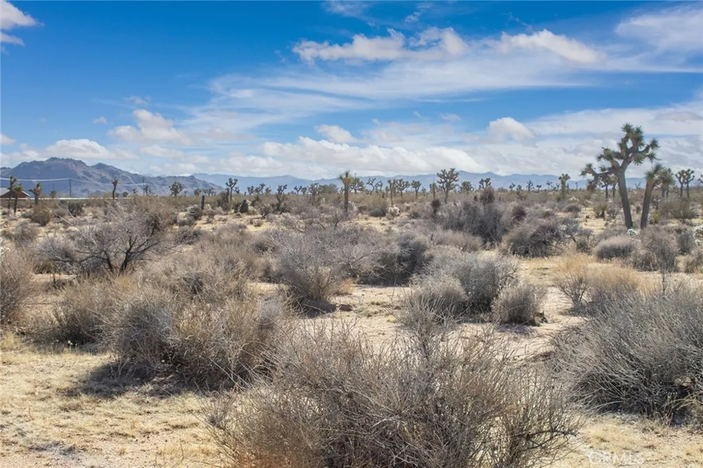 59525 La Crescenta Drive Yucca Valley, CA 92284