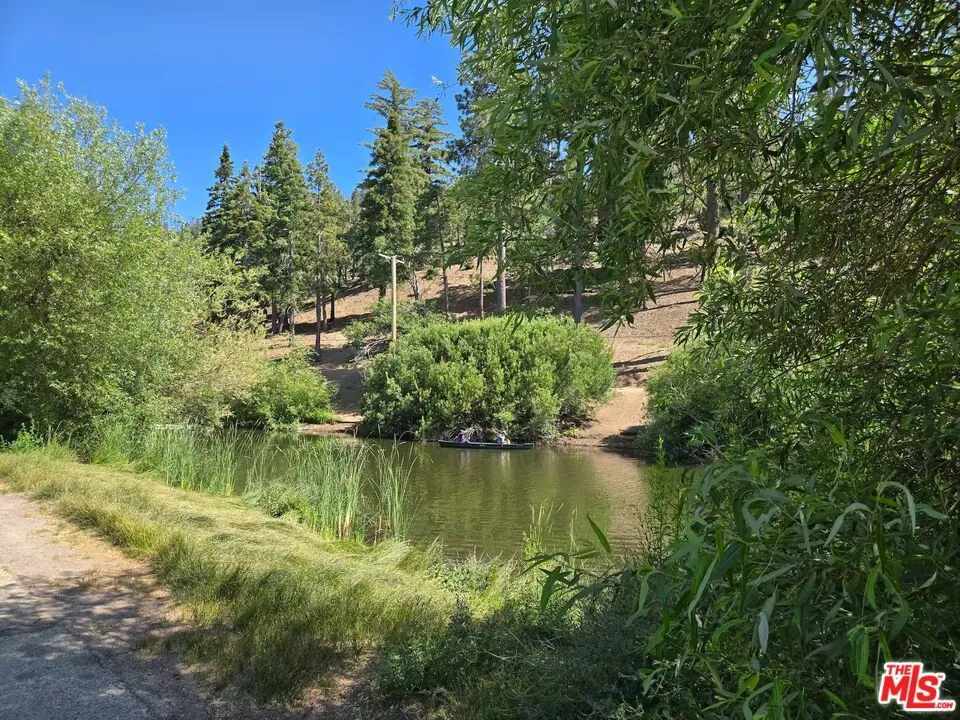1668 State Highway 2 Wrightwood, CA 92397