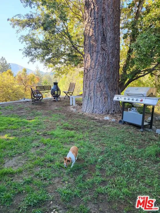 1668 State Highway 2 Wrightwood, CA 92397