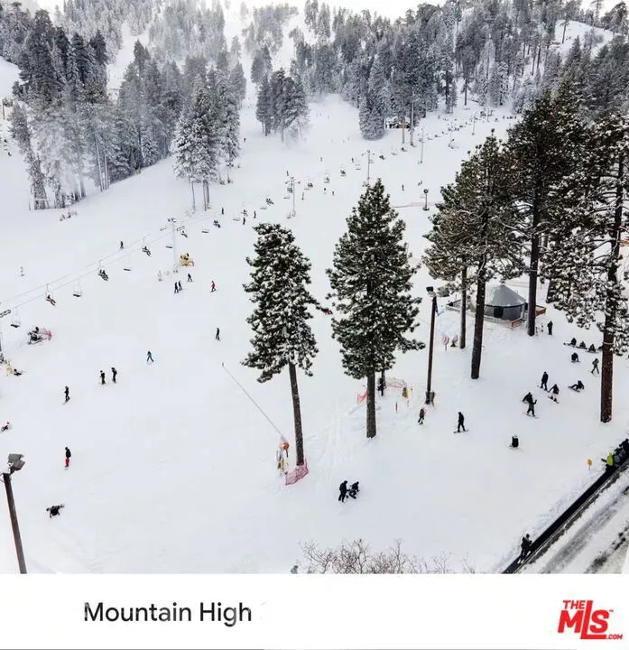 1668 State Highway 2 Wrightwood, CA 92397