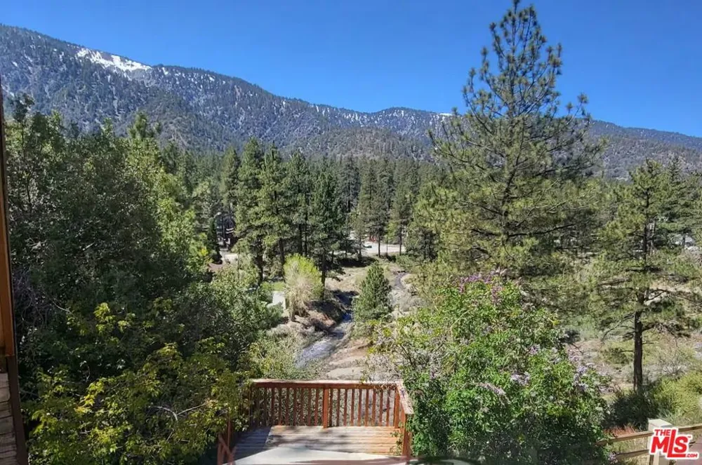 1668 State Highway 2 Wrightwood, CA 92397
