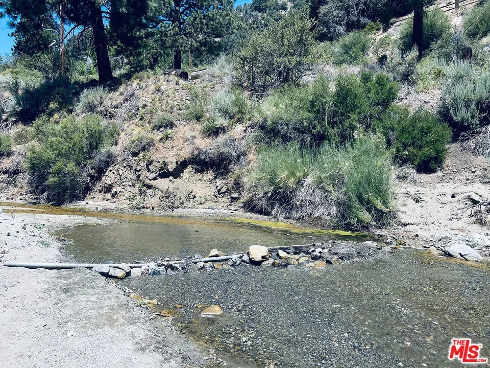 1668 State Highway 2 Wrightwood, CA 92397