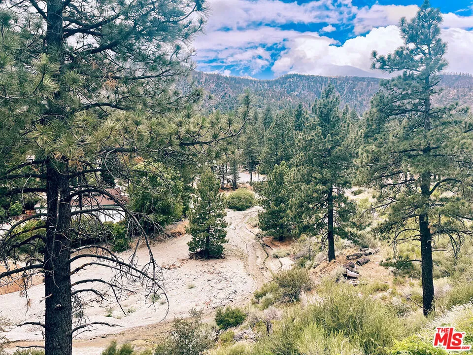 1668 State Highway 2 Wrightwood, CA 92397