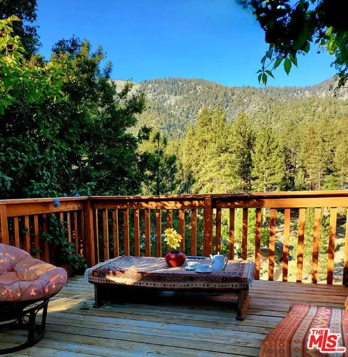 1668 State Highway 2 Wrightwood, CA 92397