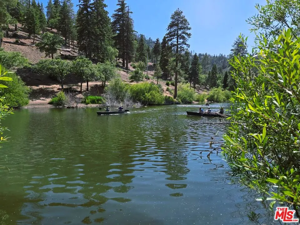 1668 State Highway 2 Wrightwood, CA 92397