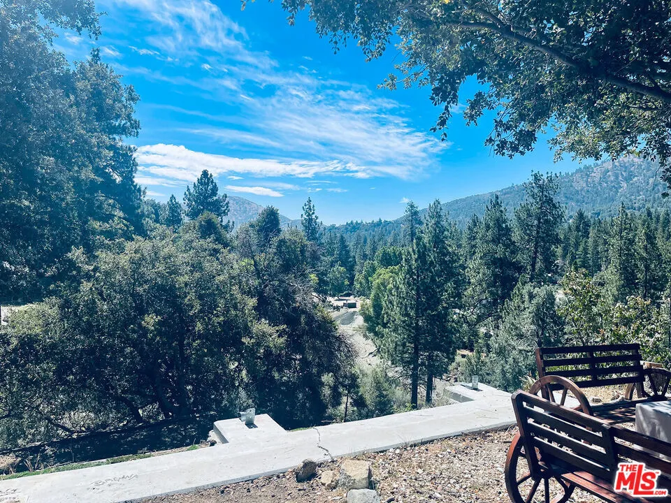 1668 State Highway 2 Wrightwood, CA 92397