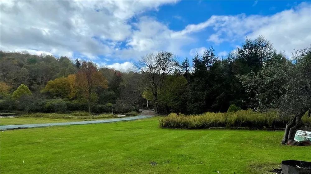 141 Bonnie Brook Road Roscoe, NY 12776