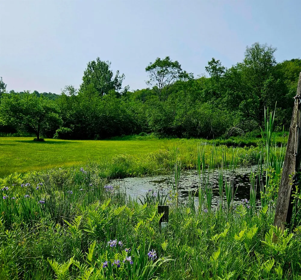 141 Bonnie Brook Road Roscoe, NY 12776