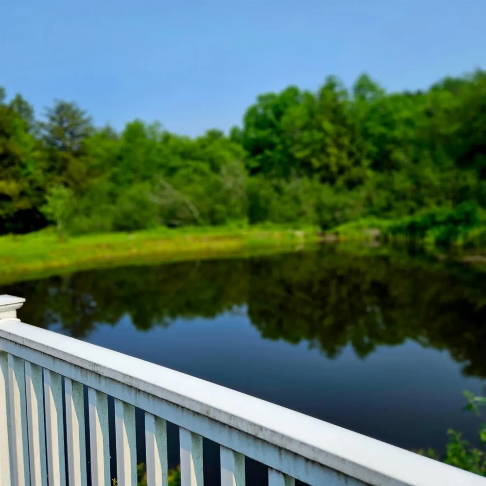 141 Bonnie Brook Road Roscoe, NY 12776