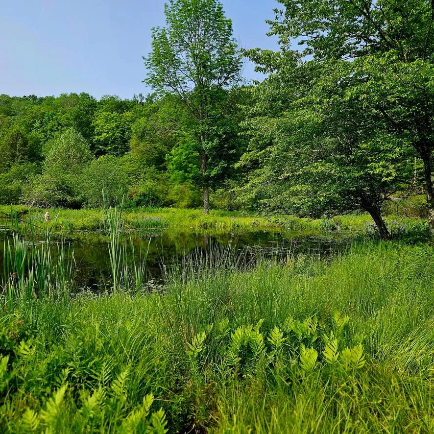 141 Bonnie Brook Road Roscoe, NY 12776