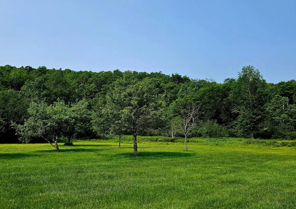 141 Bonnie Brook Road Roscoe, NY 12776