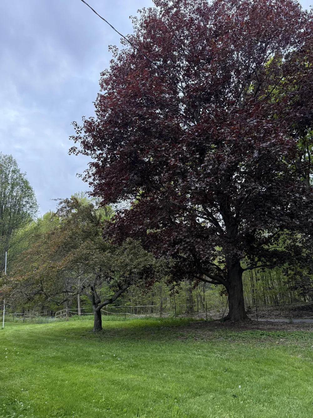 18300 14 Mile Road Convis Township, MI 49014