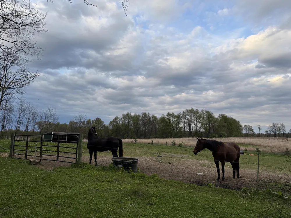 18300 14 Mile Road Convis Township, MI 49014