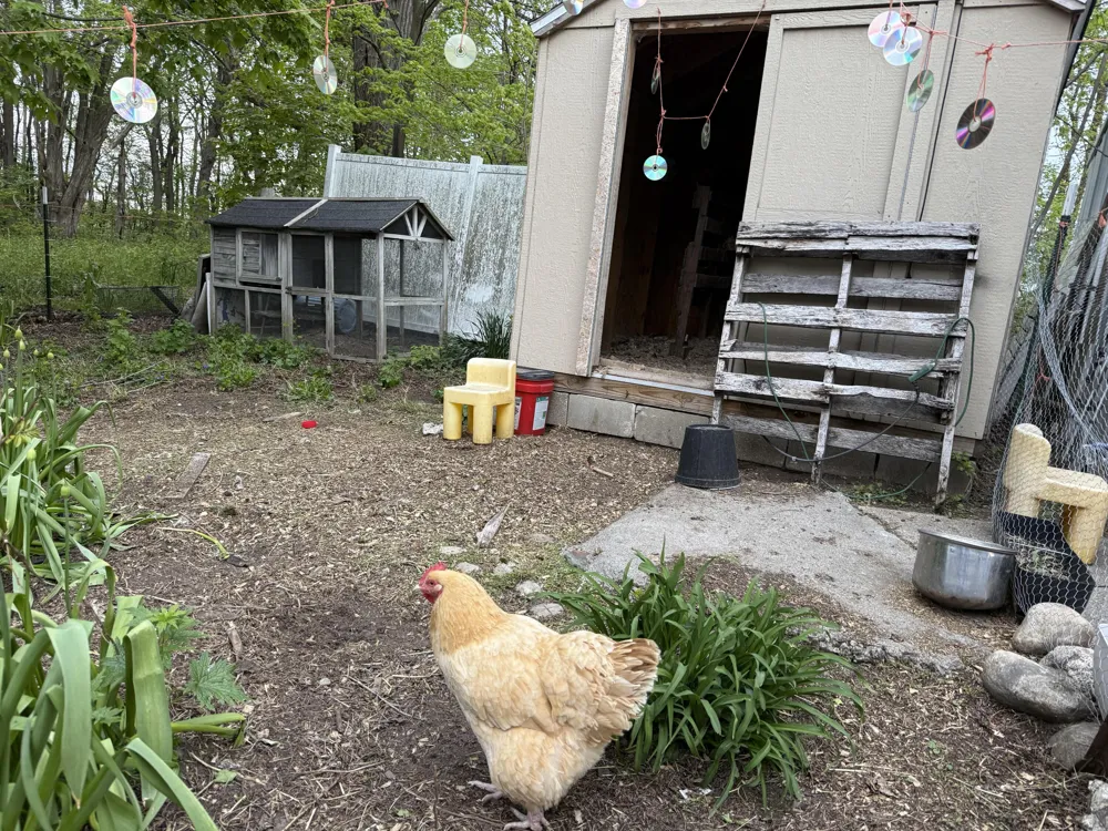18300 14 Mile Road Convis Township, MI 49014