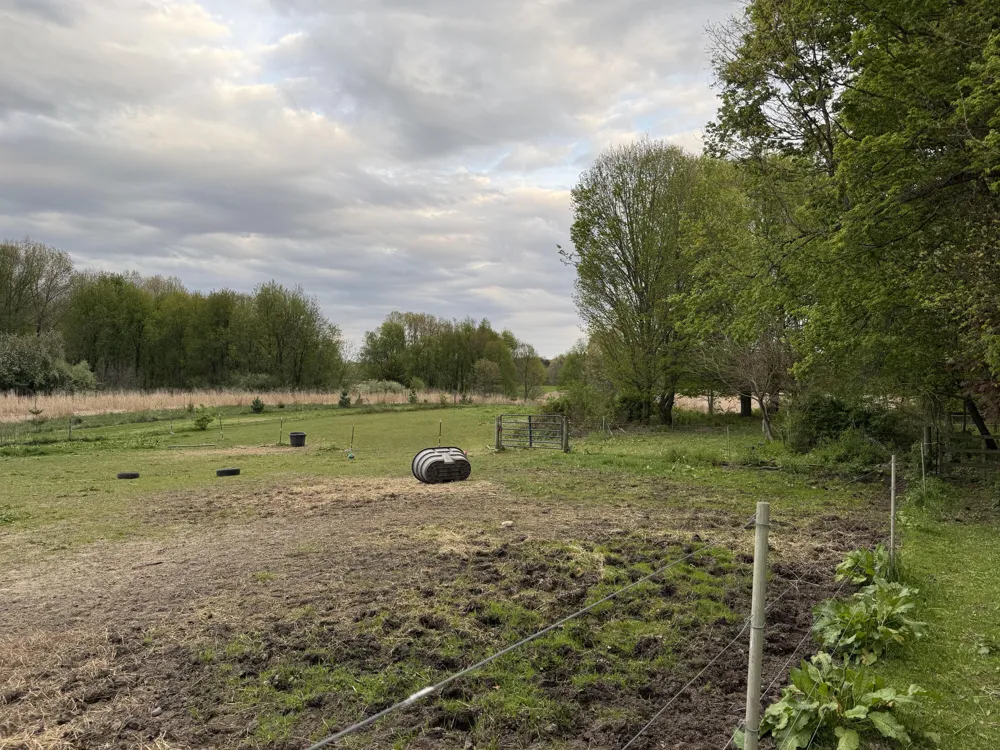 18300 14 Mile Road Convis Township, MI 49014