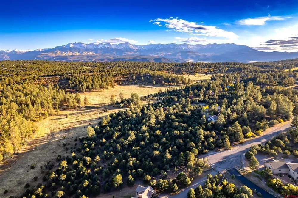 206 Woodchuck Place Ridgway, CO 81432